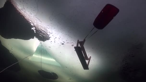白い海の氷で排他的なトリック ダイバー underwter. — ストック動画