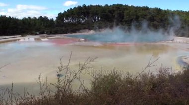 Yeni Zelanda'da orman arka plan üzerinde Kaplıcalar Geysers su.