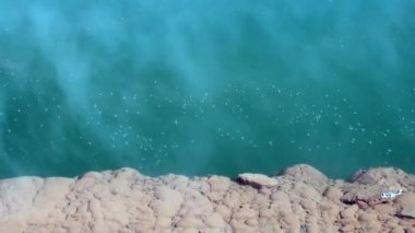 Yeni Zelanda'da orman arka plan üzerinde Kaplıcalar Geysers su.