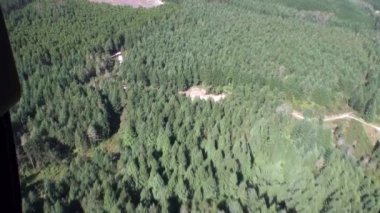 Yeni Zelanda'da helikopter penceresinden orman yeşil kalın Üstten Görünüm.