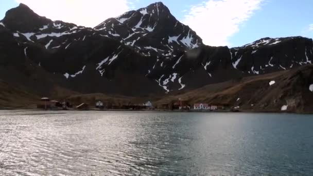 Головна на березі океану, на тлі снігом гори Фолклендські острови. — стокове відео