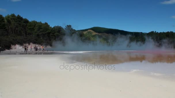 Gejzíry vody horké prameny na pozadí lesa, na Novém Zélandu. — Stock video