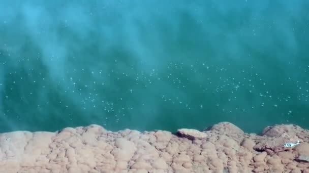 Geysers water hot springs on background of forest in New Zealand. — Stock Video