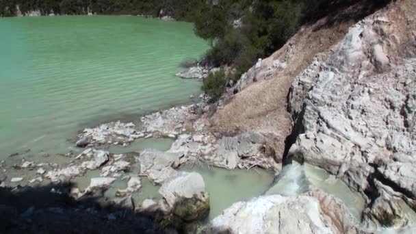 Geysire wässern heiße Quellen im Hintergrund des Waldes in Neuseeland. — Stockvideo