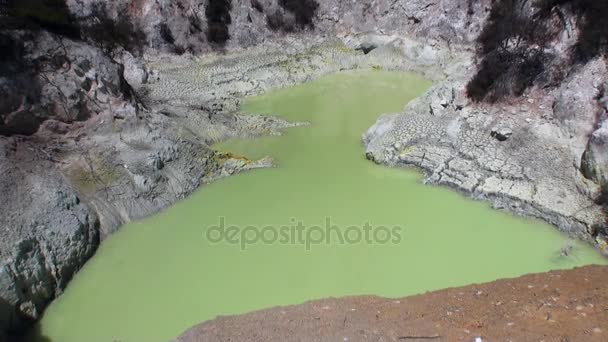 Gejzírek zöld víz hot springs, háttérben a talaj, Új-Zéland. — Stock videók