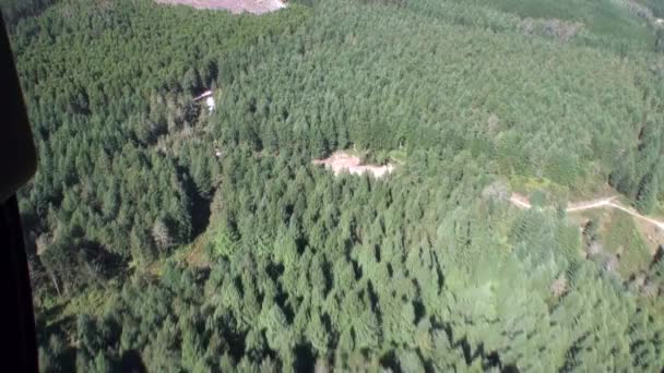 Bosque verde vista superior gruesa desde la ventana del helicóptero en Nueva Zelanda . — Vídeos de Stock