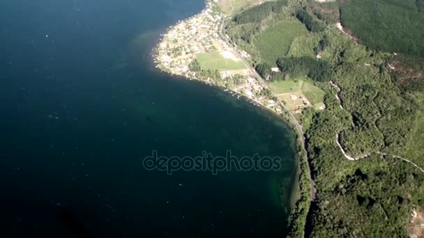 Forest in landscape of ocean view from above in New Zealand. — Stock Video