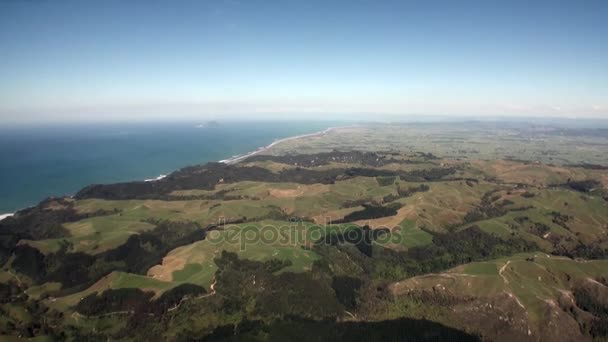 Las w krajobraz z widokiem na ocean z góry w Nowej Zelandii. — Wideo stockowe