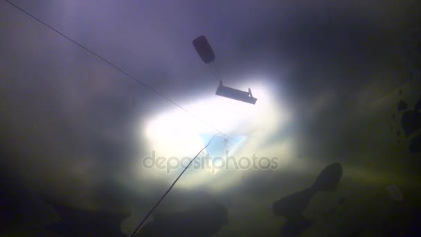 Уникальный подводный охотник во льдах Белого моря . — стоковое видео