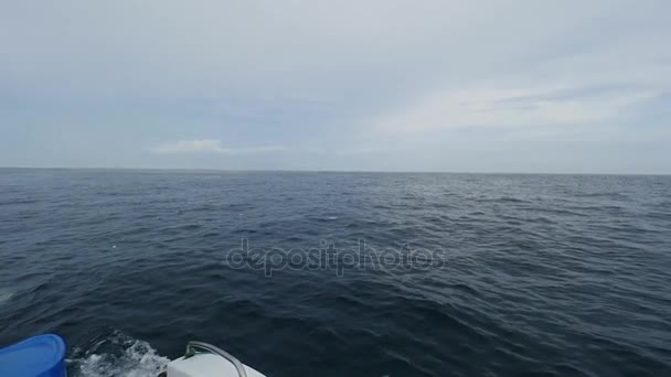 Motorbåtar på en bakgrund av vågor och havet skum. — Stockvideo