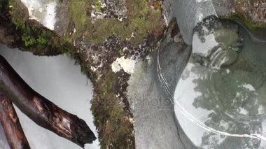 Güç su kayalık ve Yeni Zelanda dağları.
