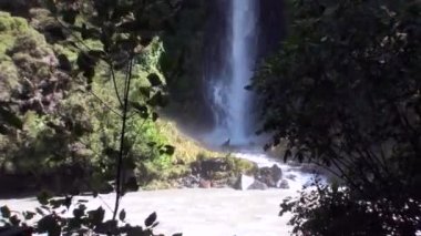 Güç su şelale orman ve dağlar Yeni Zelanda.