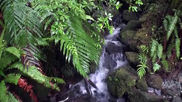 Napájecí vodě horské řeky a skalnatý, na Novém Zélandu. — Stock video