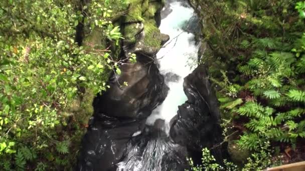 Νερό εξουσία του ποταμού στο βουνό και βραχώδεις στη Νέα Ζηλανδία. — Αρχείο Βίντεο