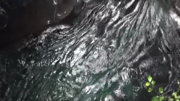 Power water of rocky and mountains in New Zealand. — Stock Video