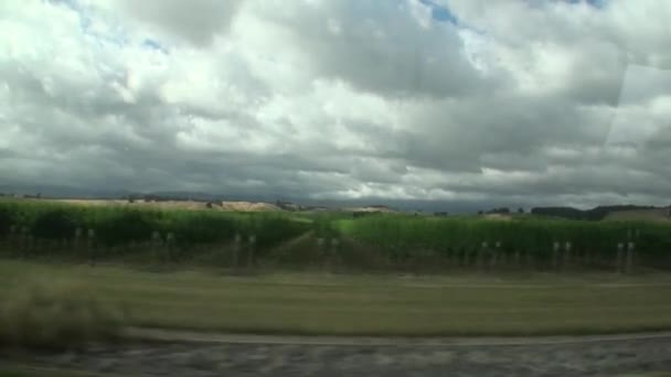 Viaje por carretera en las verdes montañas de Nueva Zelanda . — Vídeo de stock