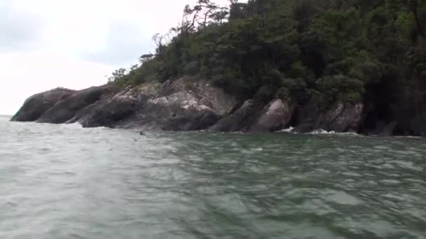 Las focas en la costa rocosa del océano en Nueva Zelanda . — Vídeos de Stock