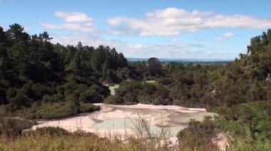 Yeni Zelanda'da orman arka plan üzerinde Kaplıcalar Geysers su.