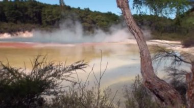 Yeni Zelanda'da orman arka plan üzerinde Kaplıcalar Geysers su.