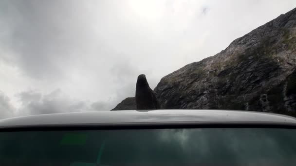 뉴질랜드의 녹색 산에 자동차의 지붕에 새. — 비디오
