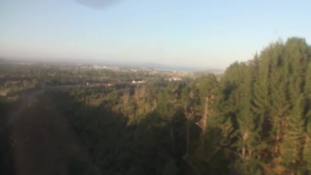Foresta verde vista dall'alto dal finestrino dell'elicottero in Nuova Zelanda . — Video Stock