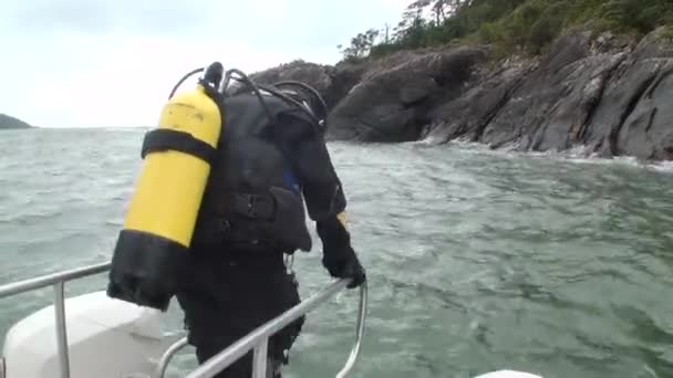 Diver scende nell'oceano dalla barca in Nuova Zelanda . — Video Stock