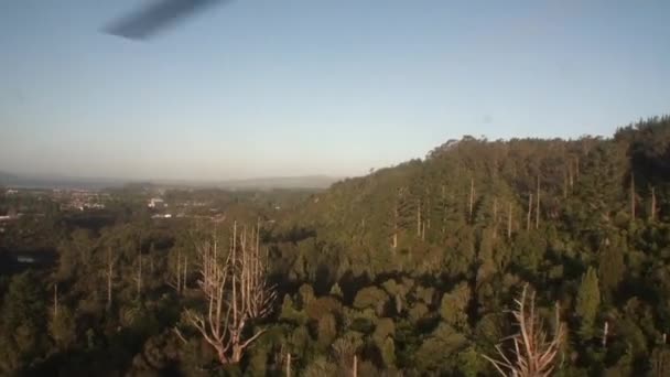 Skogsgrön tjock och sjön ovanifrån från fönstret helikopter i Nya Zeeland. — Stockvideo