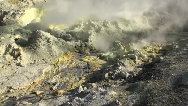 Ιαματικές πηγές geysers στα βουνά στο λευκό νησί στη Νέα Ζηλανδία. — Αρχείο Βίντεο