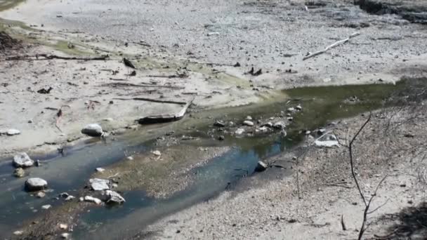 Geysers acqua sorgenti calde sullo sfondo del suolo in Nuova Zelanda . — Video Stock