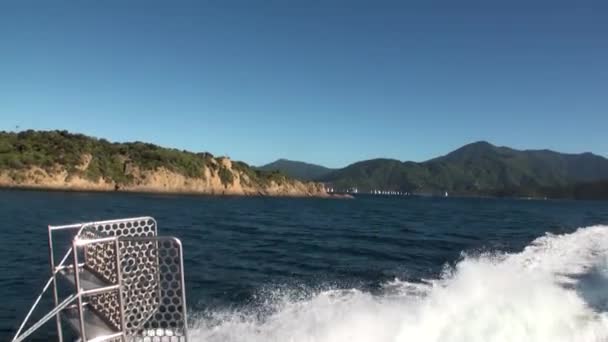 绿山和平静的海洋水查看从新西兰运动游艇. — 图库视频影像
