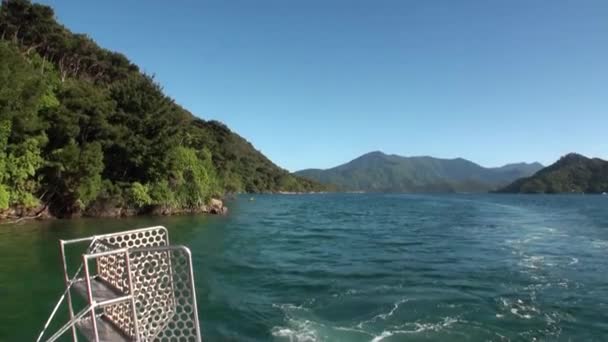 Grüne Berge und ruhiger Meerwasserblick von einer beweglichen Jacht in Neuseeland. — Stockvideo