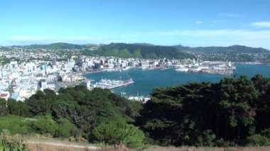 Yeşil dağlar ve su Yeni Zelanda arka plan üzerinde okyanus kıyısında evler.