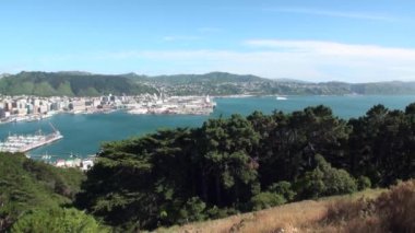 Yeşil dağlar ve su Yeni Zelanda arka plan üzerinde okyanus kıyısında evler.