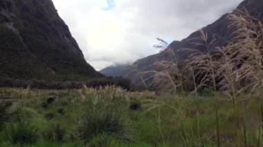 Yeni Zelanda Yeşil dağlarda araba yolculuğu.