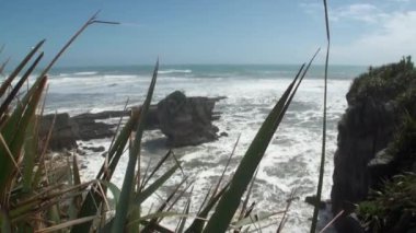 Dalgalar bir kayalık sahil ve dağların Yeni Zelanda.