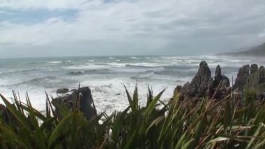 Dalgalar bir kayalık sahil ve dağların Yeni Zelanda.