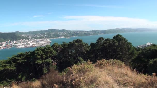 Huizen aan de kust van de Oceaan op de achtergrond van de groene bergen en water in Nieuw-Zeeland. — Stockvideo