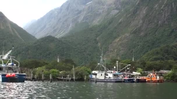 Yachts boat pier on background of landscape mountain of ocean in New Zealand. — Stock Video