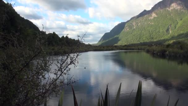 녹색 산에 독특한 호수 진정 뉴질랜드의 물. — 비디오