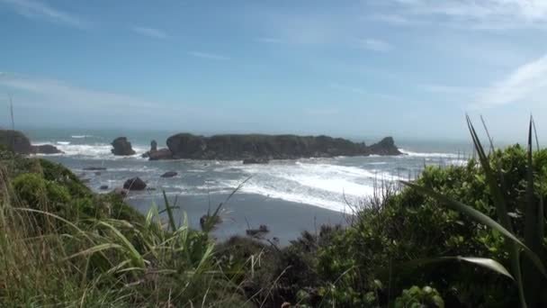 Waves on a rocky coast and mountains New Zealand. — Stock Video