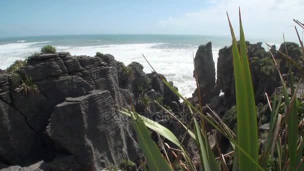 Olas en una costa rocosa y montañas Nueva Zelanda . — Vídeos de Stock