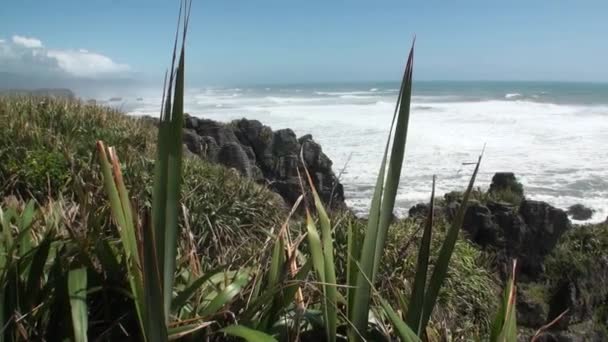 Golven op een rotsachtige kust en bergen Nieuw-Zeeland. — Stockvideo