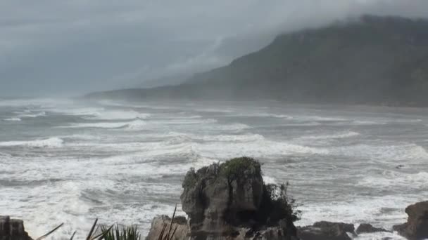 Vågor på en klippiga kusten och bergen nya Zeeland. — Stockvideo