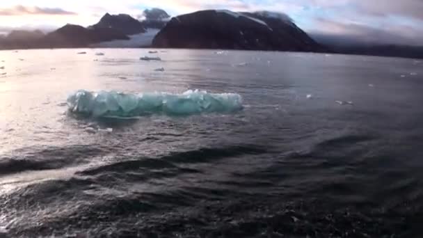 Ledovec na pobřeží v pozadí vody Severního ledového oceánu v Svalbard. — Stock video