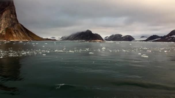 Glacier on the coast in the background of water of Arctic Ocean in Svalbard. — Stock Video