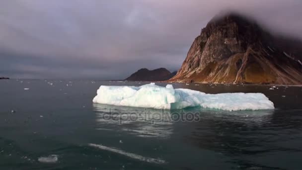 스발바르에서 북극 바다의 물에 산의 배경에 빙원을 이동. — 비디오