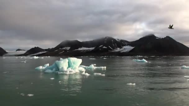 Floes de gelo em movimento no fundo da montanha na água do Oceano Ártico em Svalbard . — Vídeo de Stock