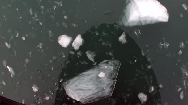 Reflectie van het schip in het wateroppervlak van de Noordelijke IJszee in Svalbard. — Stockvideo