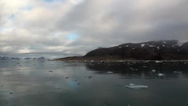 Csendes nyugodt víz, a háttérben a hegy a Jeges-tenger, Svalbard. — Stock videók