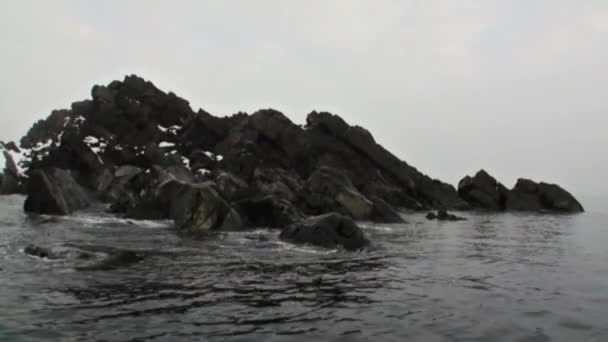 Скалистое горное побережье на фоне воды Северного Ледовитого океана на Шпицбергене . — стоковое видео